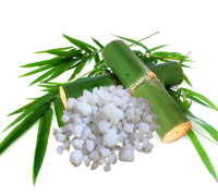 Vanshalochana (Bamboo Manna)